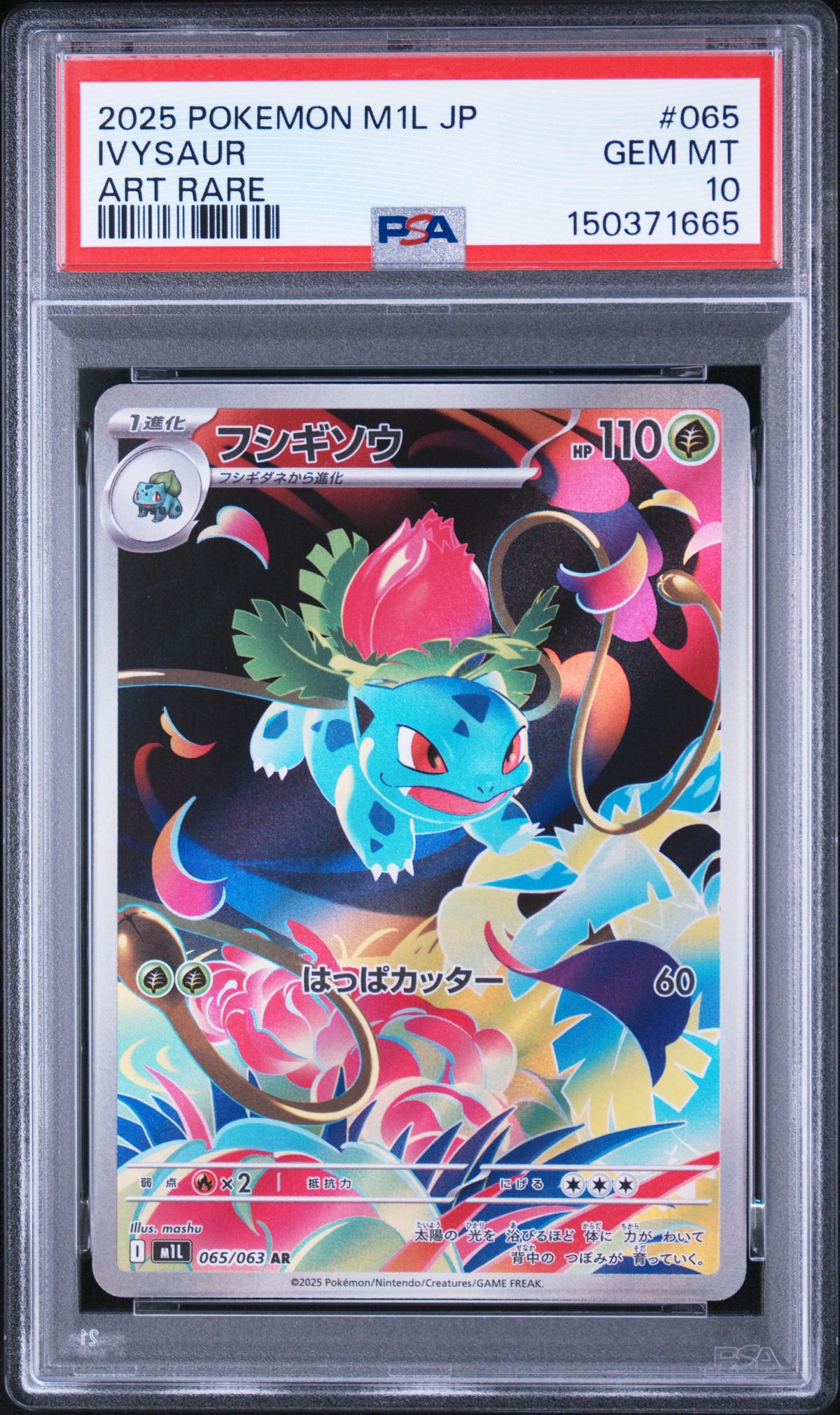 PSA10 Ivysaur (m1L 065)